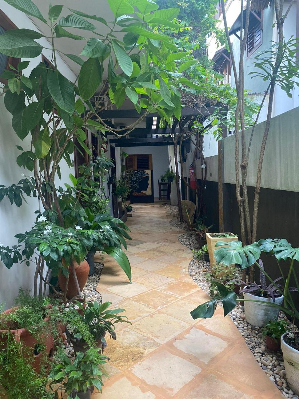 Inn Munguba
